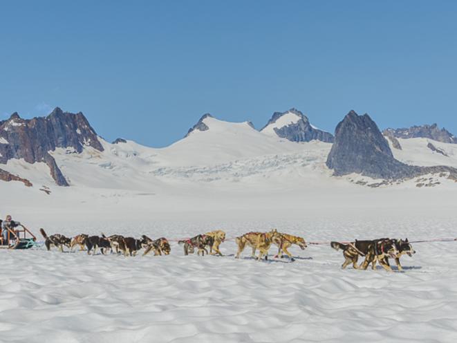 Wide/Distance Shot of Dog Sled