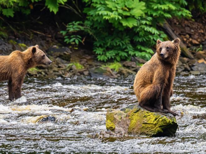 Best Seat In The House
