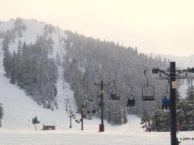 Ptarmigan at Sunrise