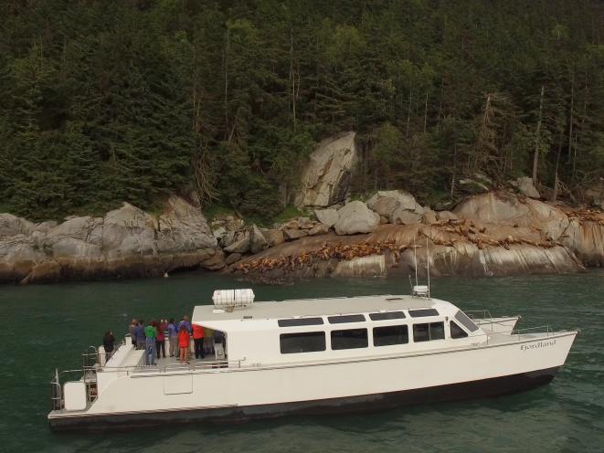 Fjordland at Sea Lion Rock