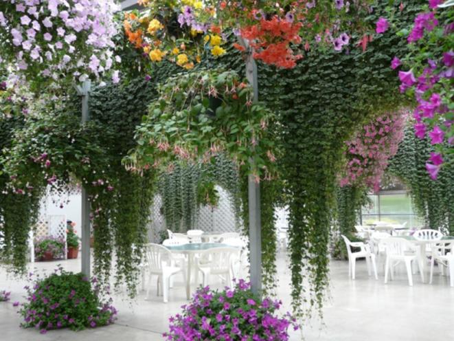 Meeting and Convention Venue