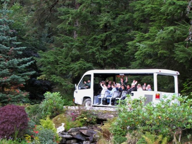 Rainforest Adventures!