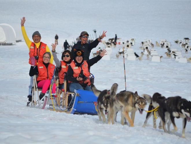 Dog Sledding on the Mendenhall Glacier