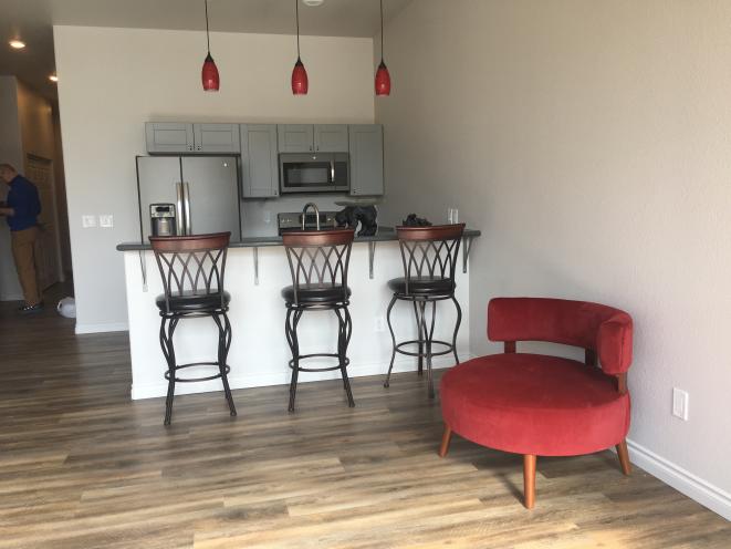 Kitchen in apartment 202