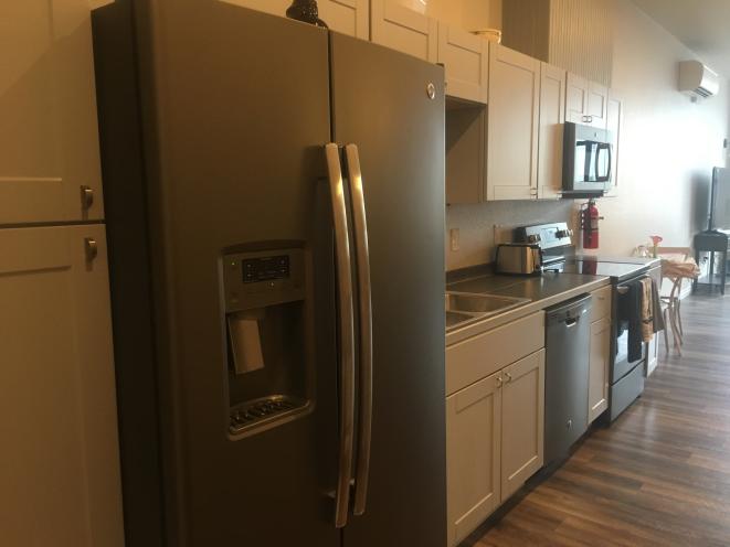 Kitchen in studio apartment 201