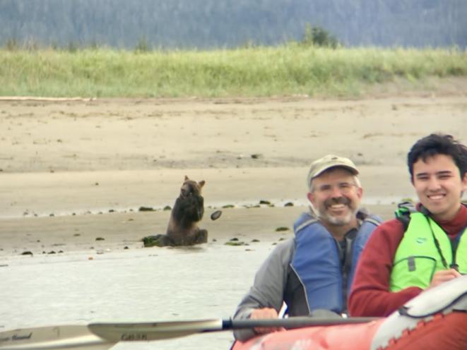 Sea Kayak Bear