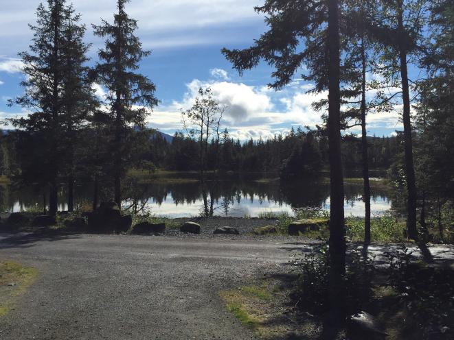 Mendenhall Campground Site #17