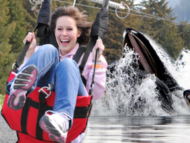 Whale ZipRider Combo Tour