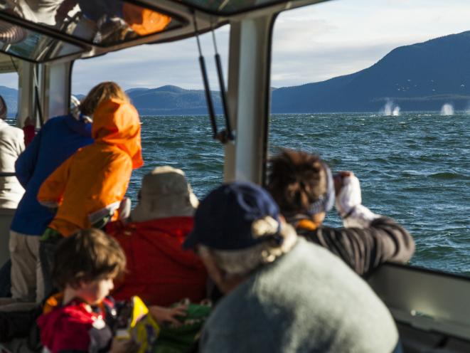 Inside Custom Safari Vessels