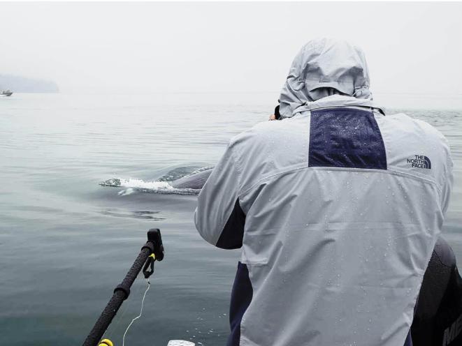 Up close and personal