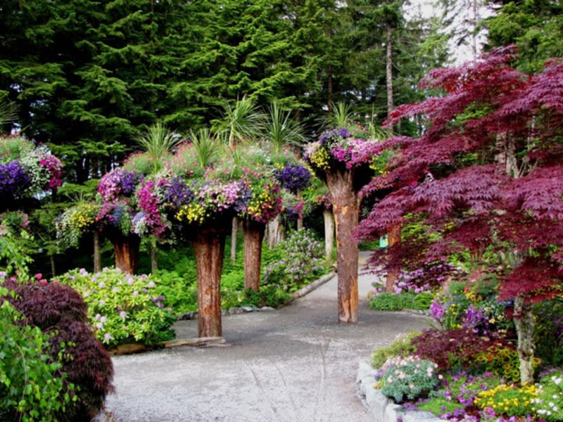 Glacier Gardens Rainforest Adventure