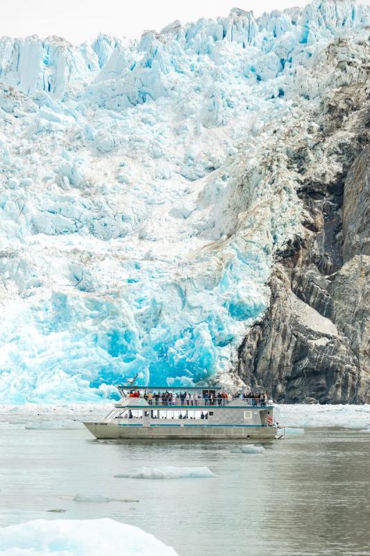 Allen Marine Tours