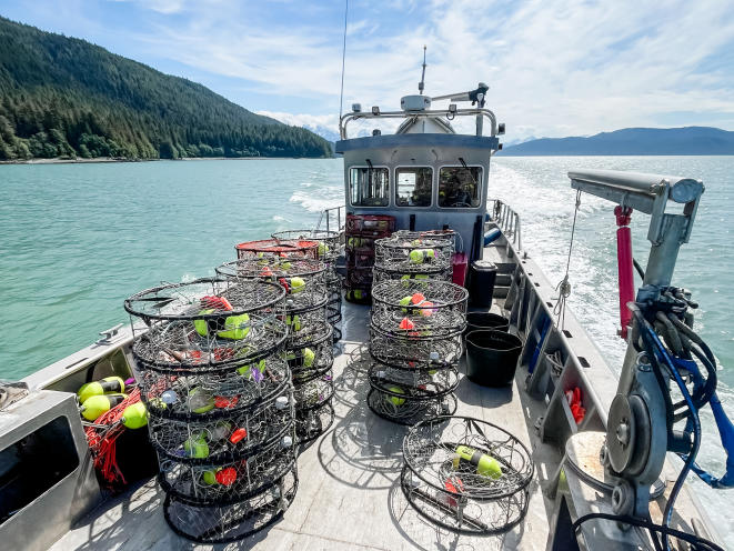 ALASKAN COMMERCIAL CRABBING TOURS