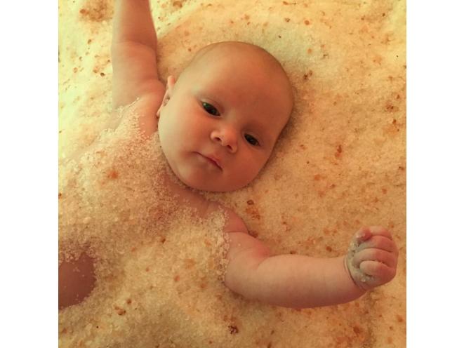 Baby laying in Himalayan Sat.