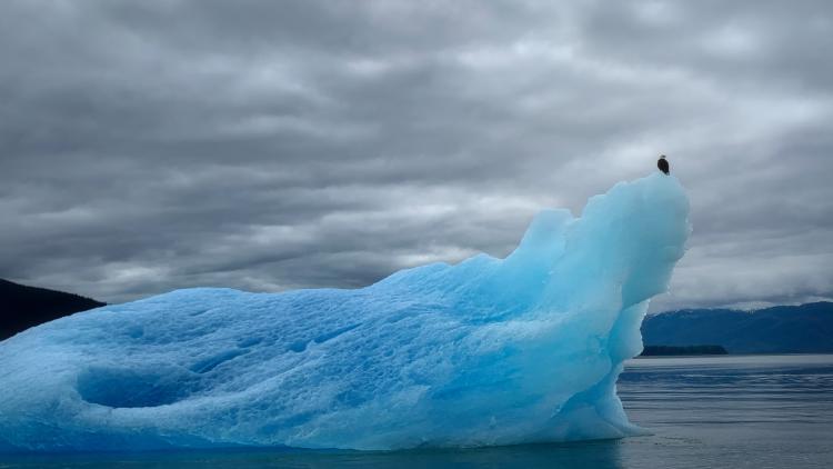 Iceberg and Eagle