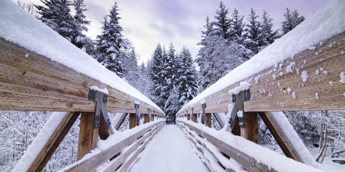 Snowy Bridge