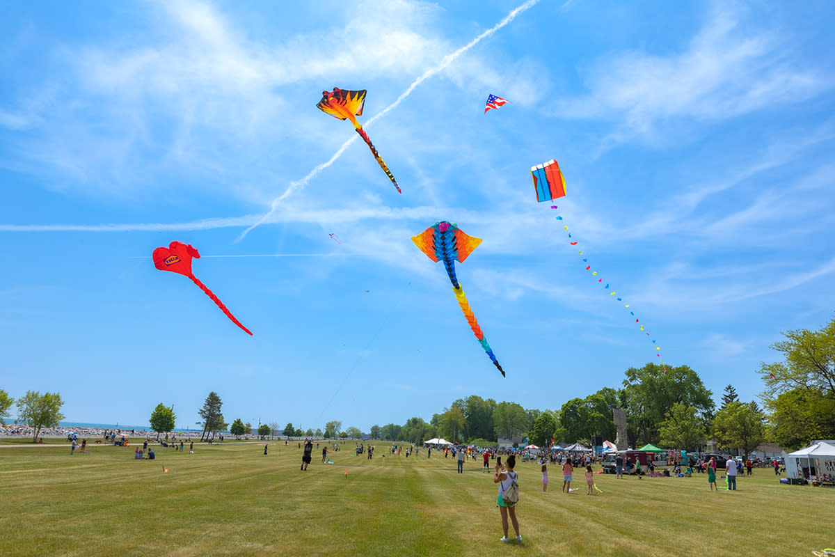 flying kites phototaxis