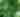 Grow Space Vertical Farms