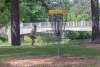 Lincoln Park disc golf course