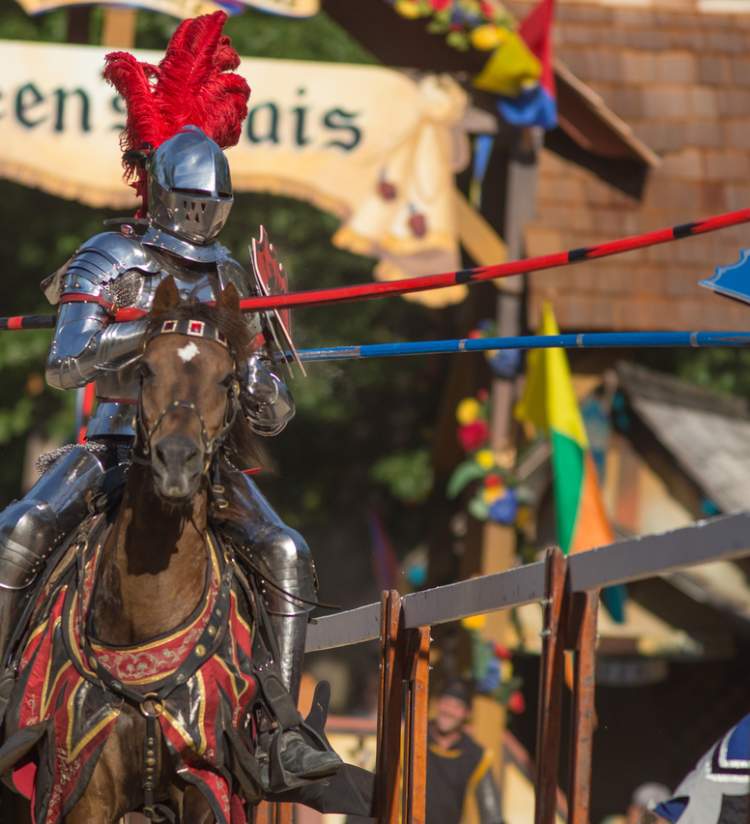 Bristol Renaissance Faire