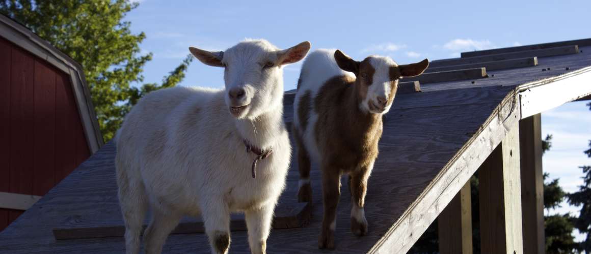Jerry Smith Farm