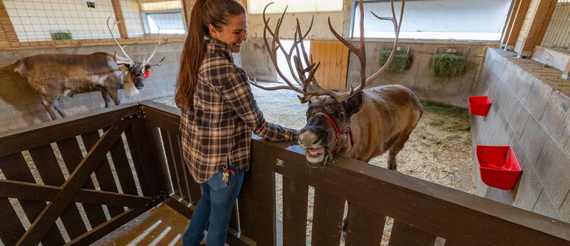 Paris Deer Park