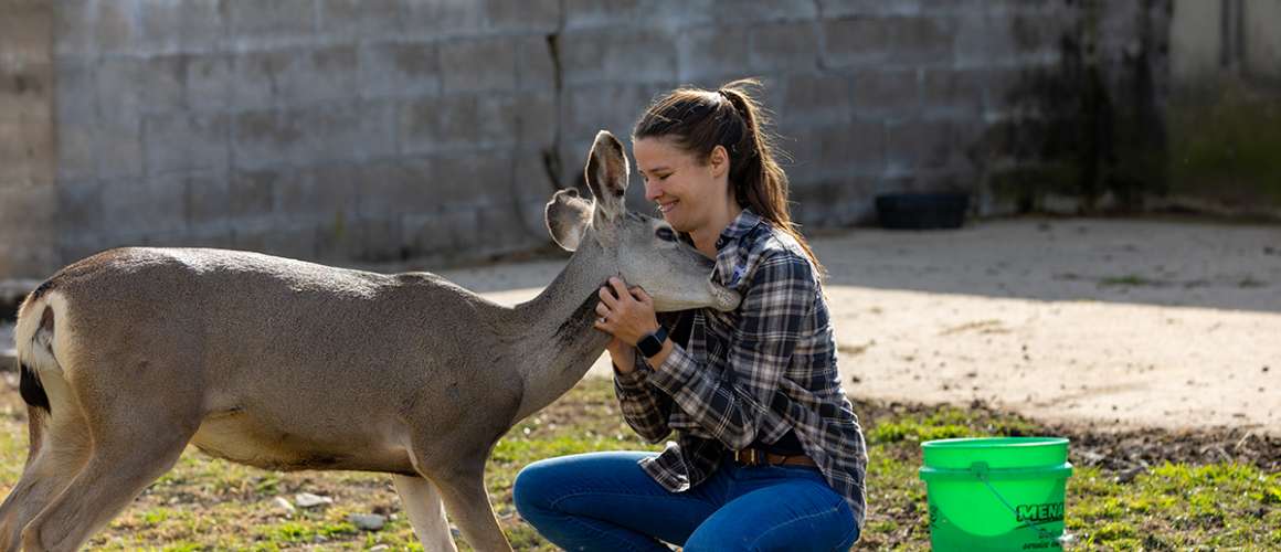 Paris Deer Park