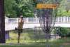 Lincoln Park disc golf course
