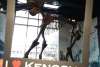 Mammoth at Kenosha Public Museum