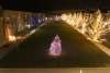 Museum Campus Decorated