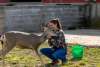 Paris Deer Park