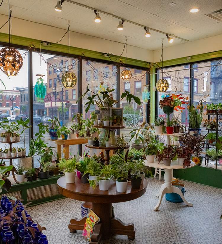 Equinox botanical boutique