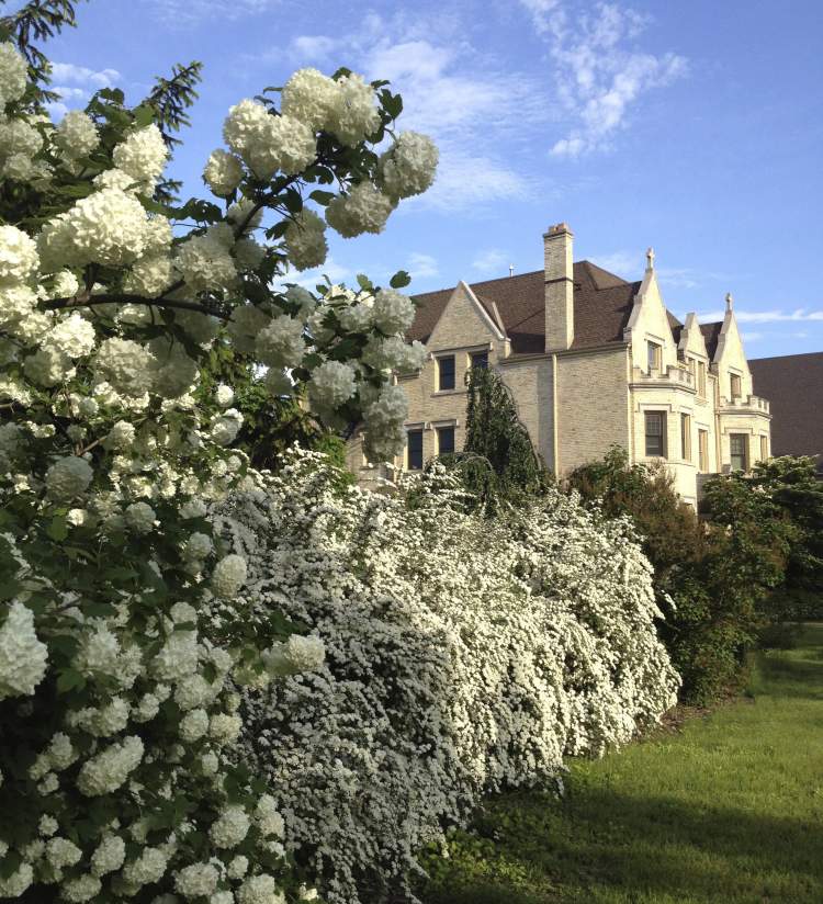 Spring Blooms at KemperCenter
