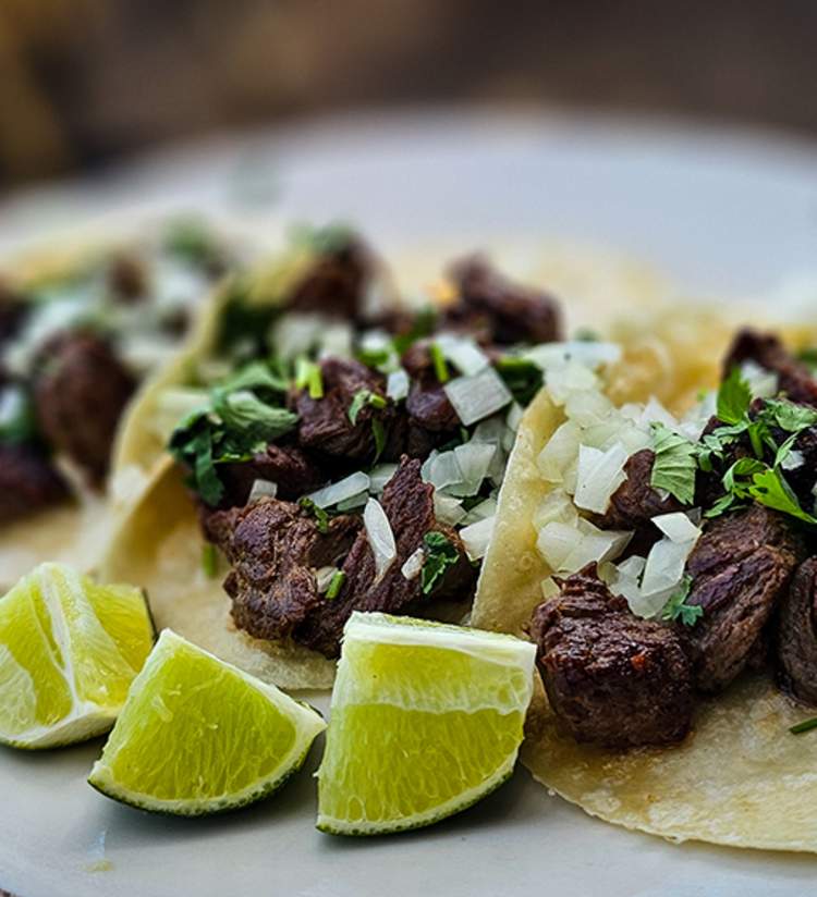 La Fogata Mexican Grill