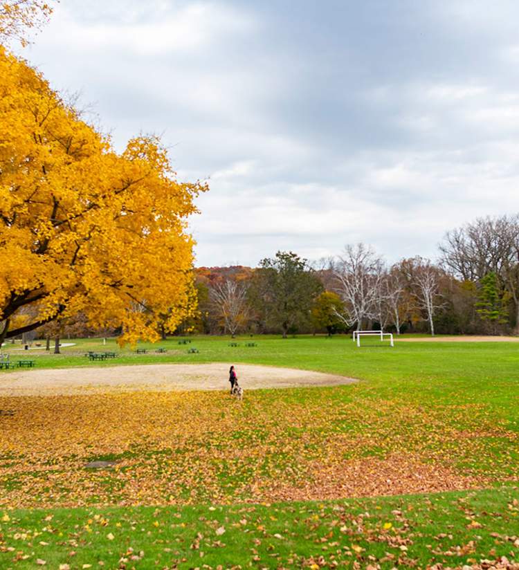 Petrifying Springs Park