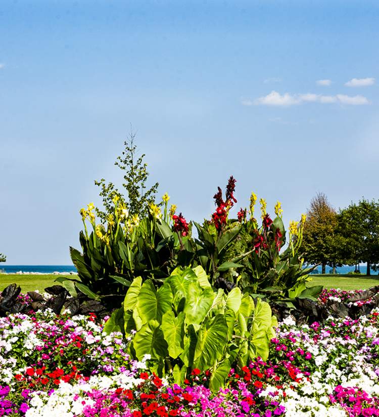 Wolfenbuttel Park