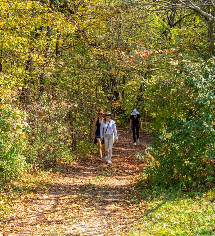 walking at Hawthorn Hollow Nature Sanctuary and Arboretum