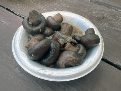 Bristol Renaissance Faire - mushrooms