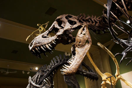 Weekend Travel Ideas near the Twin Cities, Kenosha lakefront getaway, Midwest weekend trips