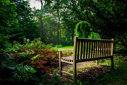 Hawthorn Hollow Nature Sanctuary and Arboretum
