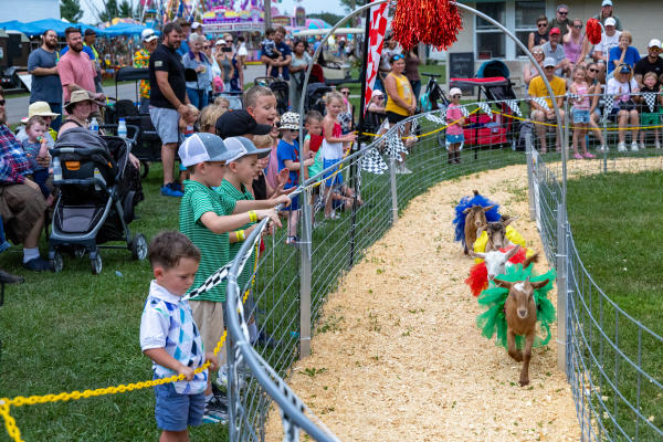 Kenosha County Fair - goat race