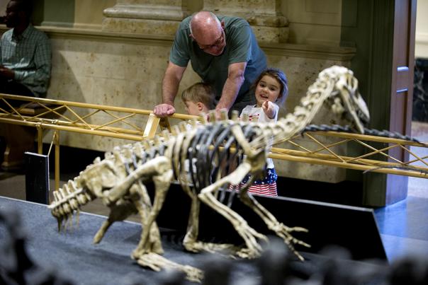 Dinosaur Discovery Museum