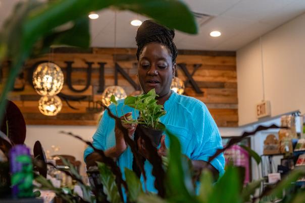 EQUINOX botanical boutique