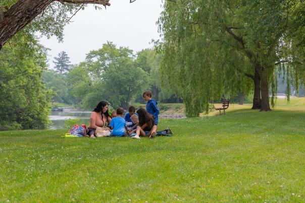 Picnic at Fox River Park