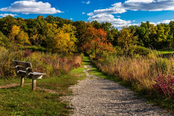 Richard Bong State Recreation Area in fall