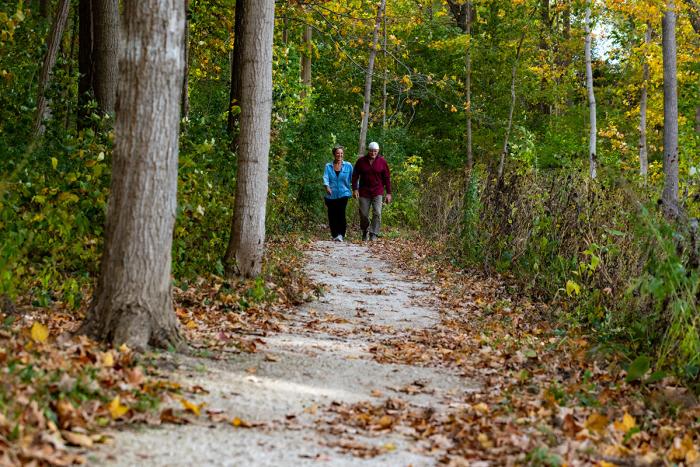 Petrifying Springs Park in the fall