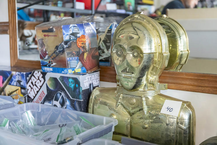 Toys and Collectibles Experience