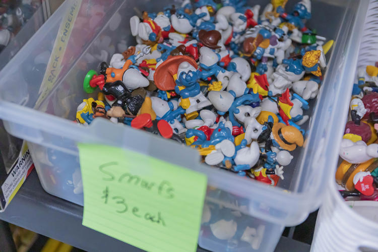 Toys and Collectibles Experience