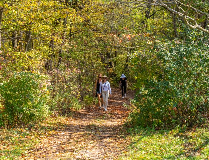 walking at Hawthorn Hollow Nature Sanctuary and Arboretum