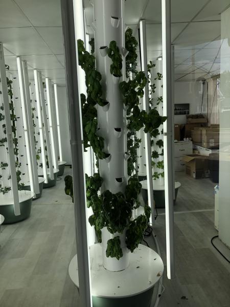 grow Space_1